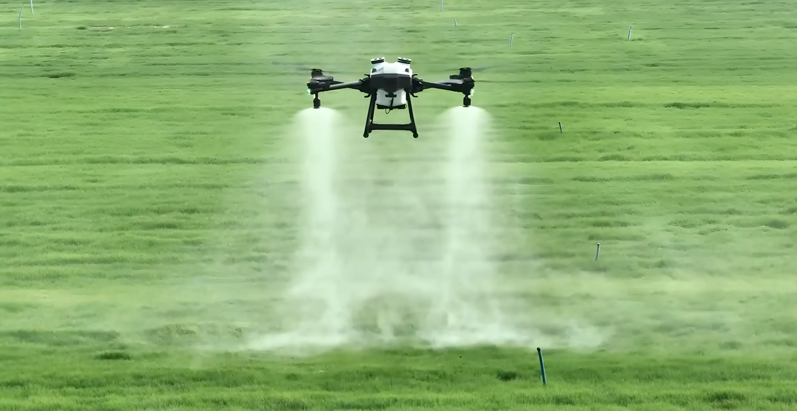 Aerial view of agricultural field